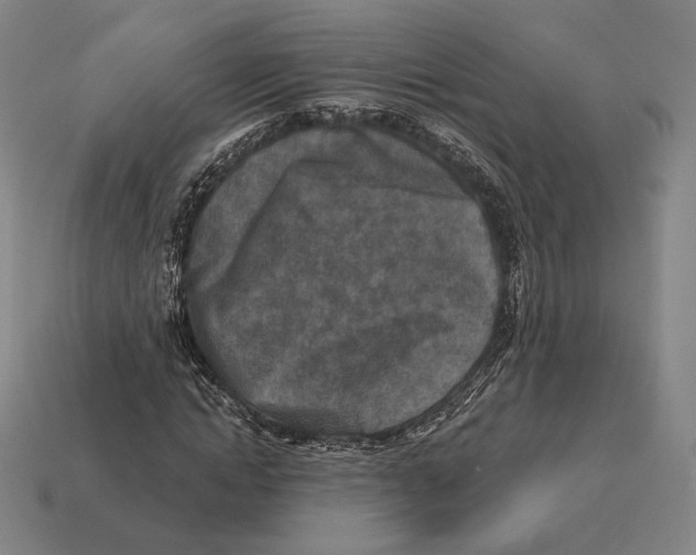 X0000113120822200909251111
