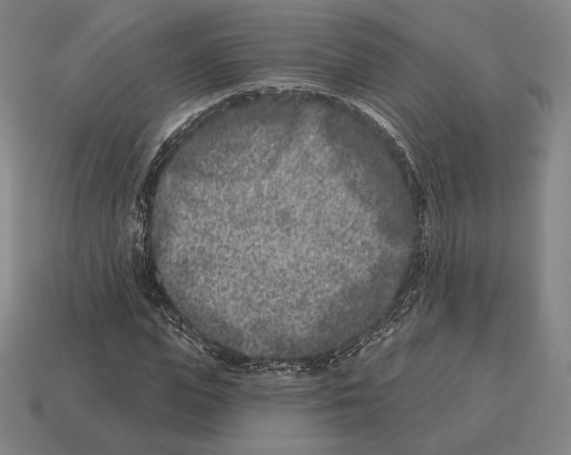 X0000113120823200909251111