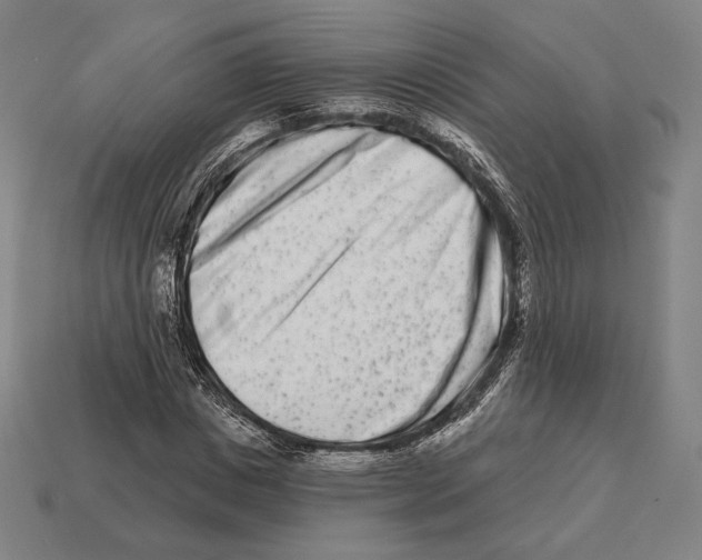 X0000113120825200909251111