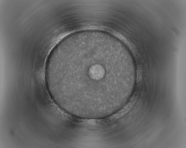X0000113120828200909251111