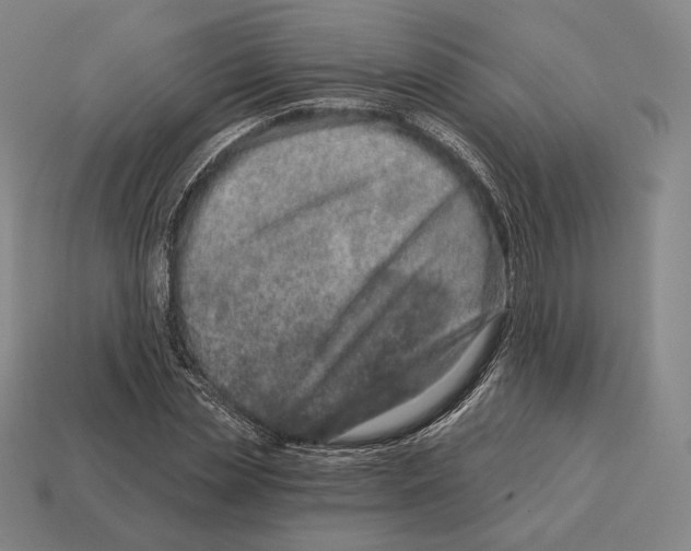 X0000113120829200909251111