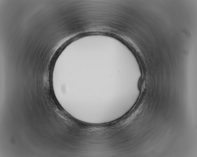 X0000113120830200909251111