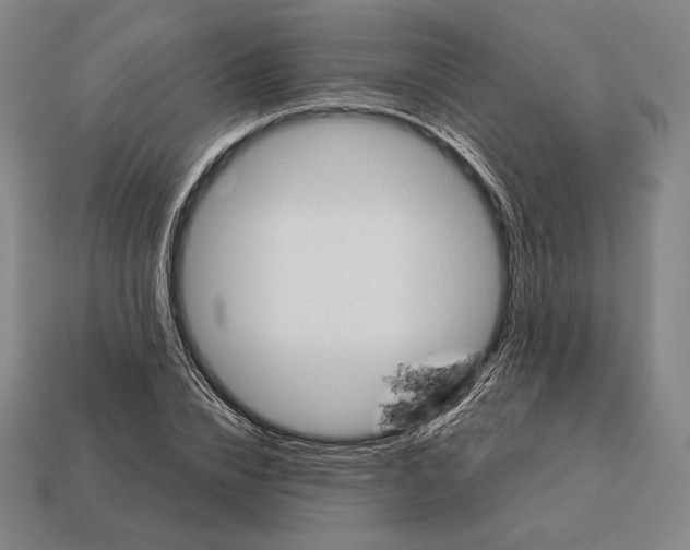 X0000113120832200909251111