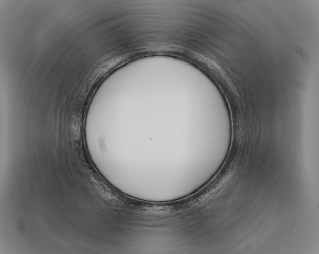 X0000113120833200909251111