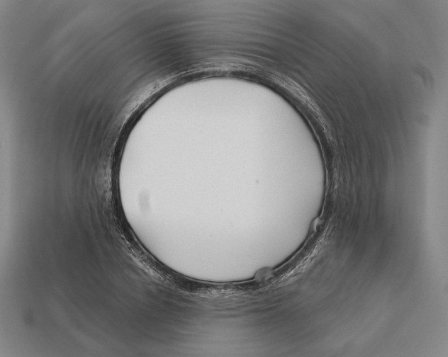 X0000113120834200909251111