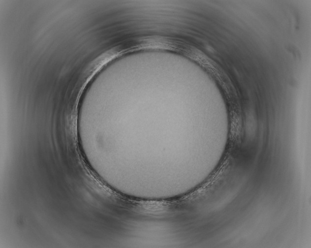X0000113120836200909251111