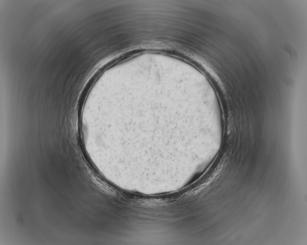 X0000113120837200909251111