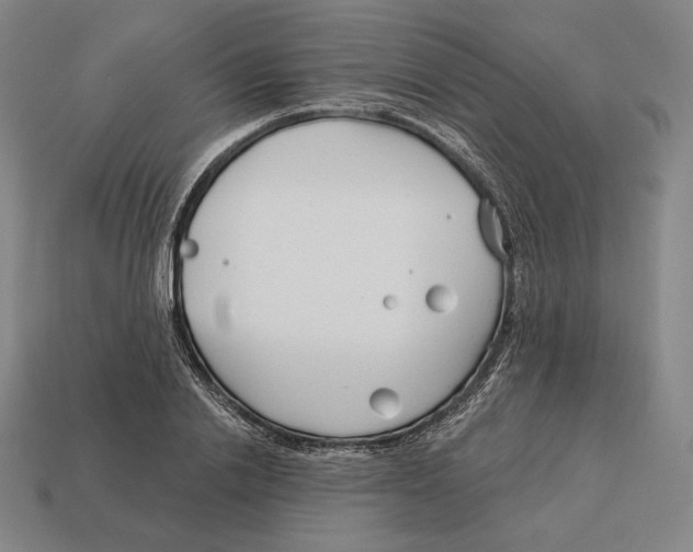X0000113120838200909251111
