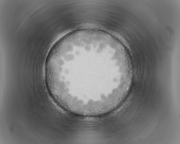 X0000113120839200909251111