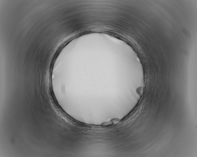 X0000113120840200909251111