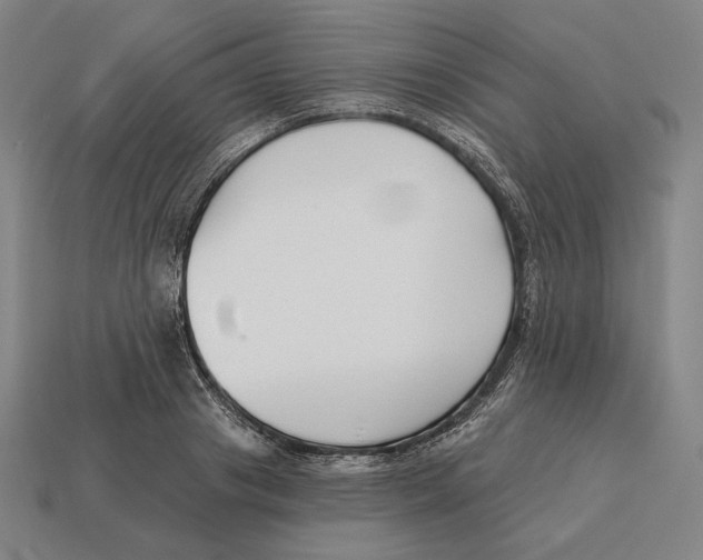 X0000113120841200909251111