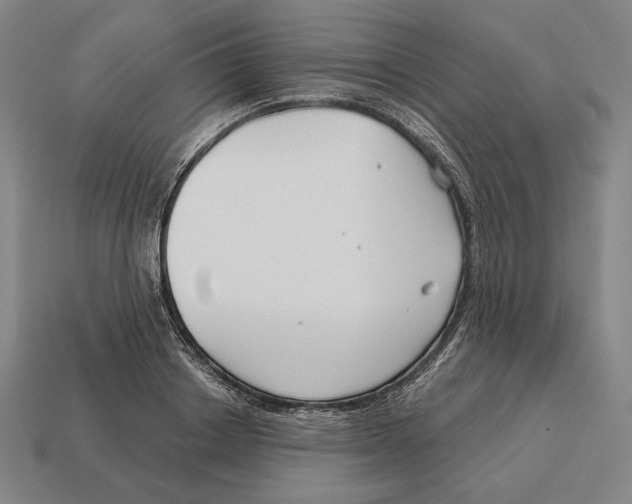 X0000113120842200909251111