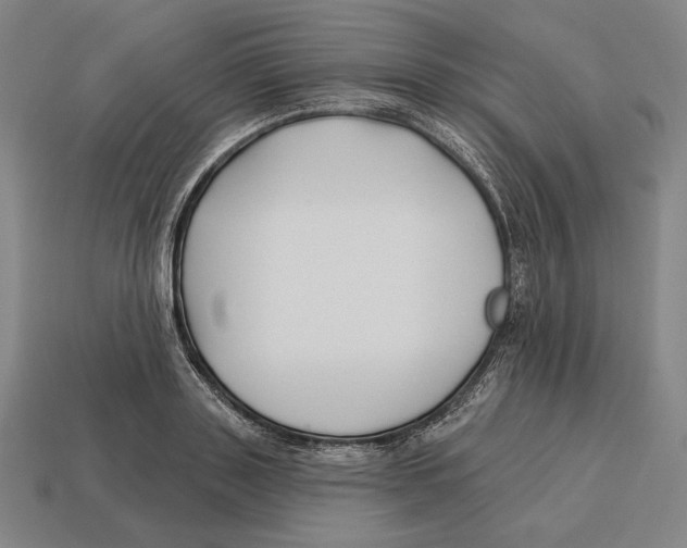X0000113120843200909251111
