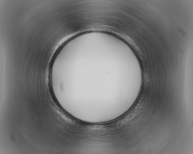 X0000113120846200909251111
