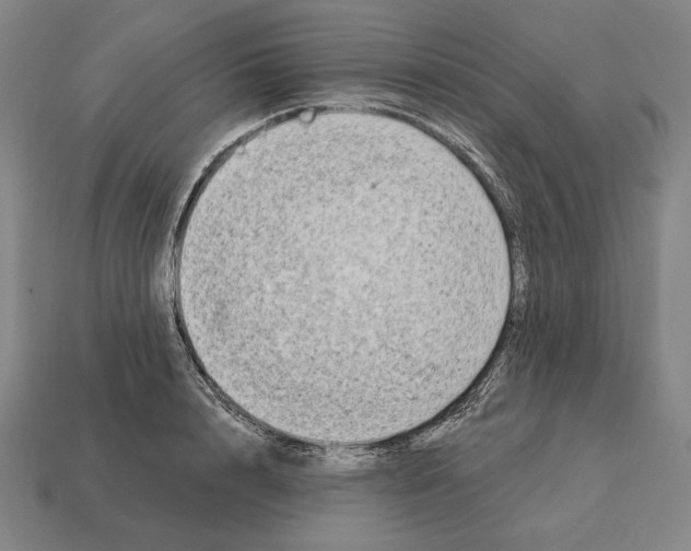 X0000113120848200909251111