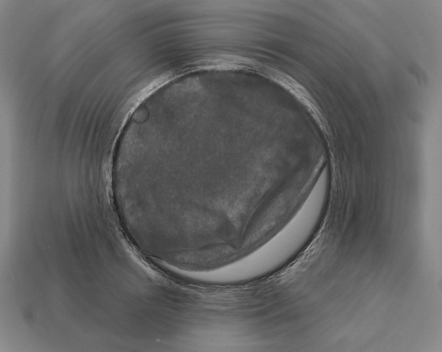 X0000113120850200909251111