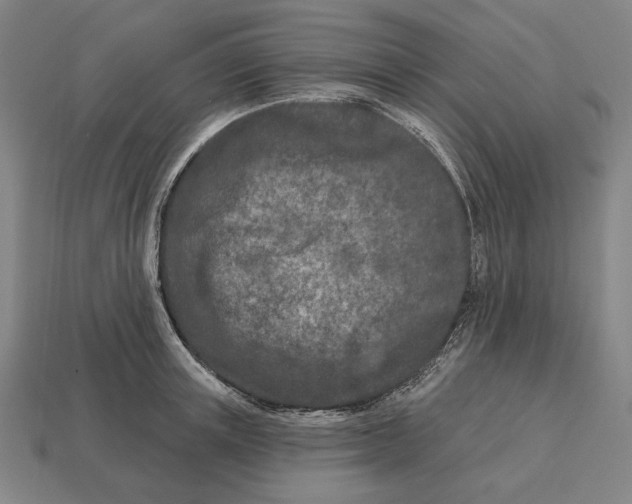 X0000113120851200909251111