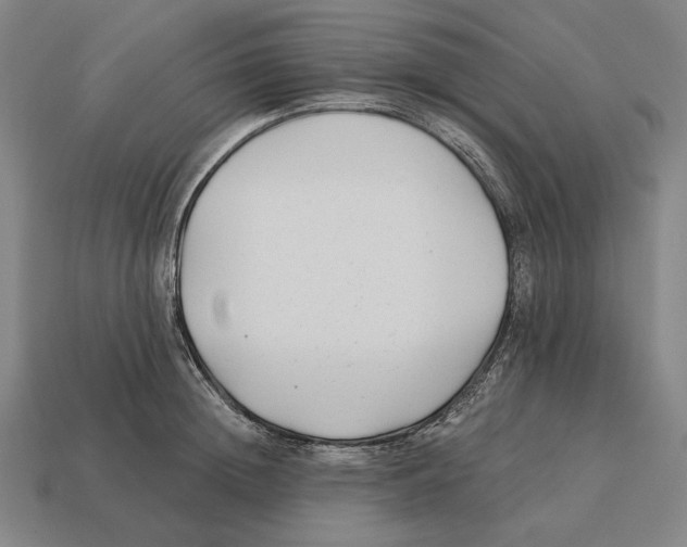 X0000113120852200909251111