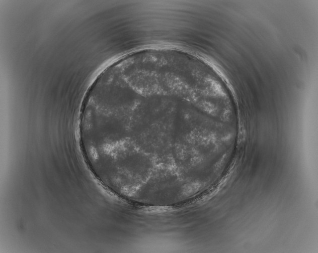 X0000113120853200909251111