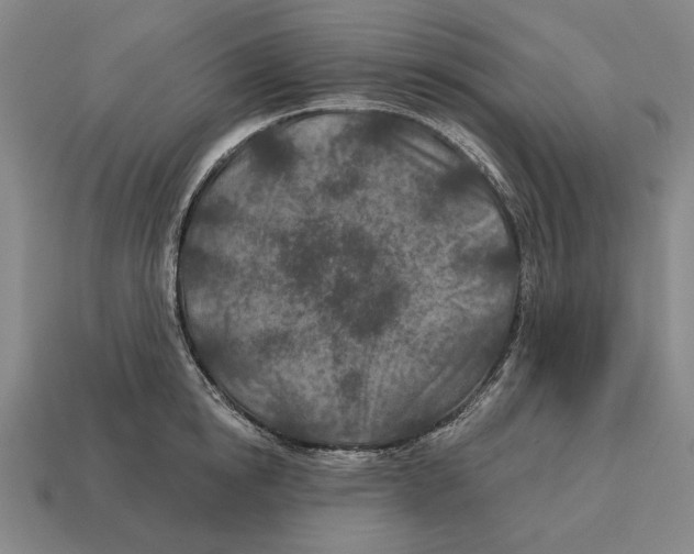 X0000113120854200909251111