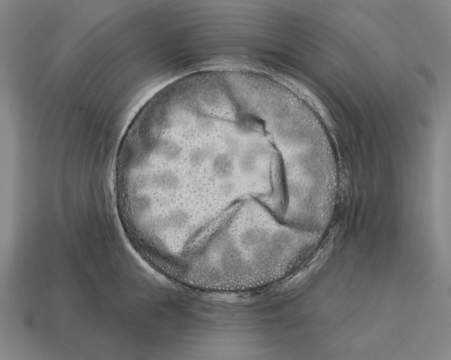 X0000113120855200909251111