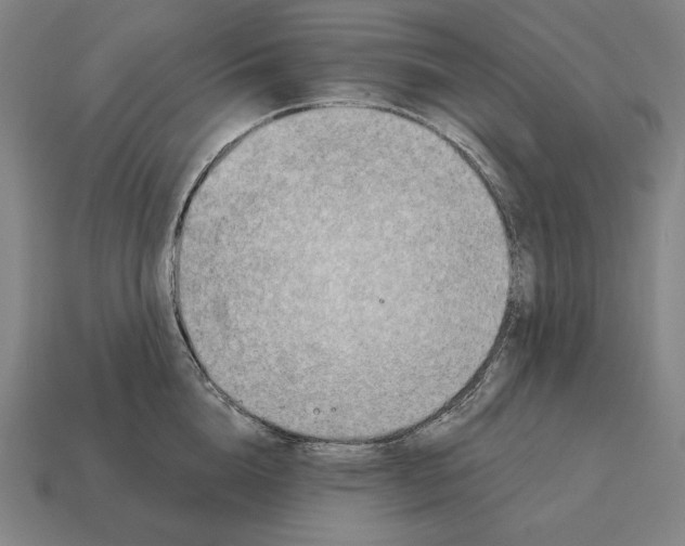 X0000113120856200909251111