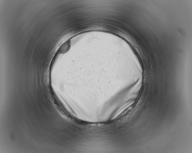 X0000113120858200909251111