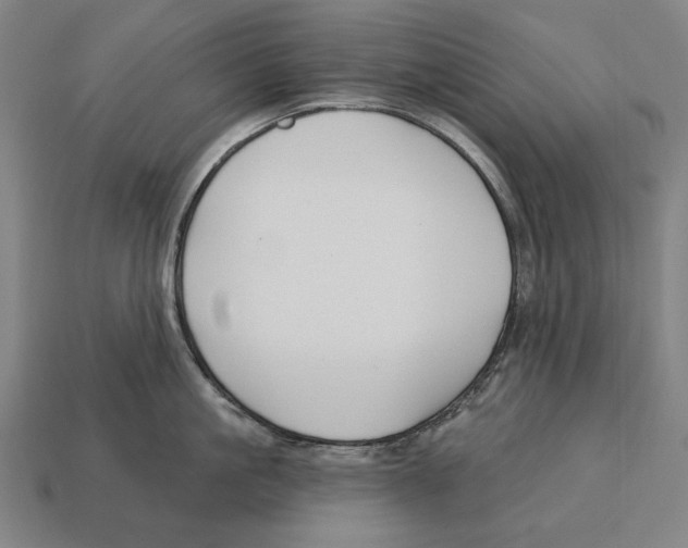 X0000113120861200909251111
