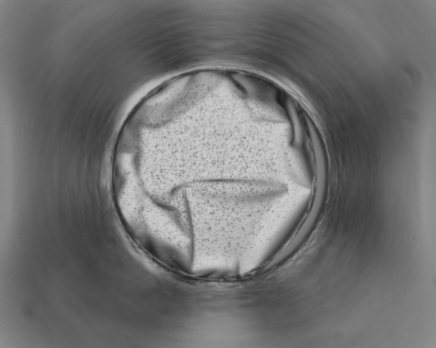 X0000113120862200909251111