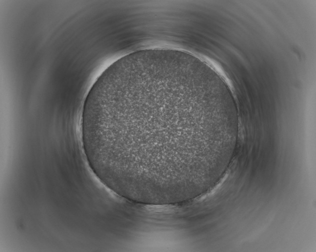X0000113120863200909251111