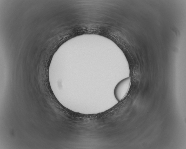 X0000113120865200909251111