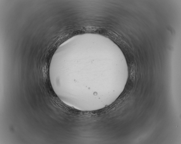 X0000113120866200909251111