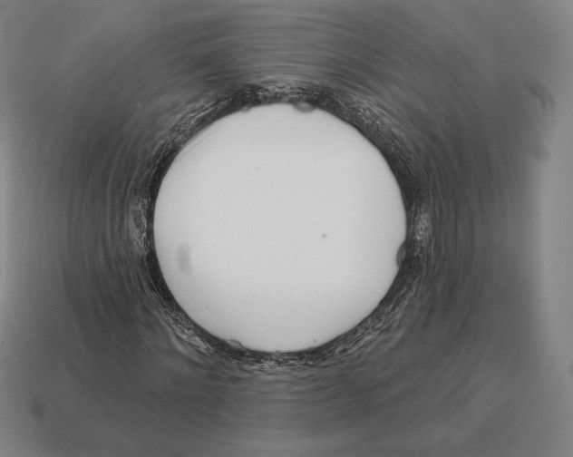 X0000113120868200909251111