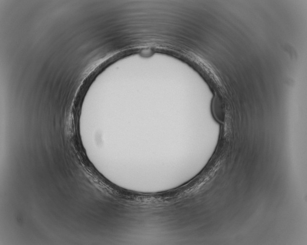 X0000113120876200909251111