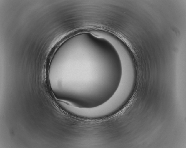 X0000113120877200909251111