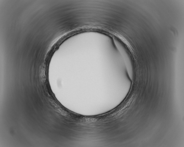 X0000113120878200909251111
