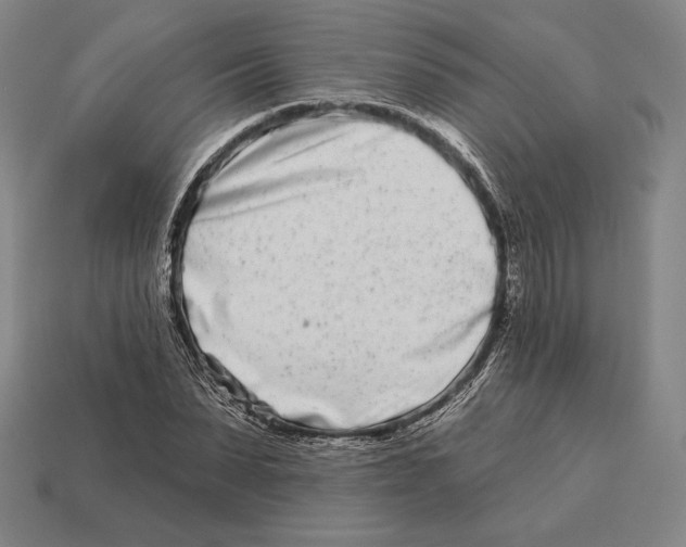 X0000113120879200909251111