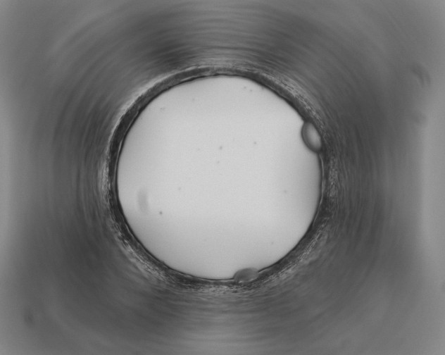 X0000113120880200909251110