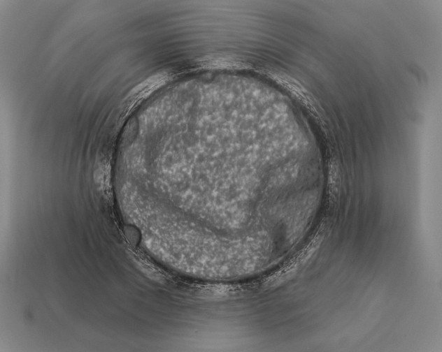X0000113120881200909251110
