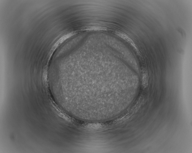 X0000113120882200909251110