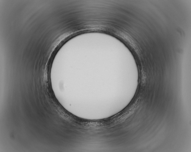X0000113120883200909251110