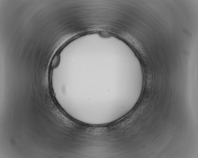 X0000113120884200909251110