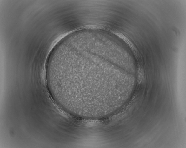 X0000113120886200909251110