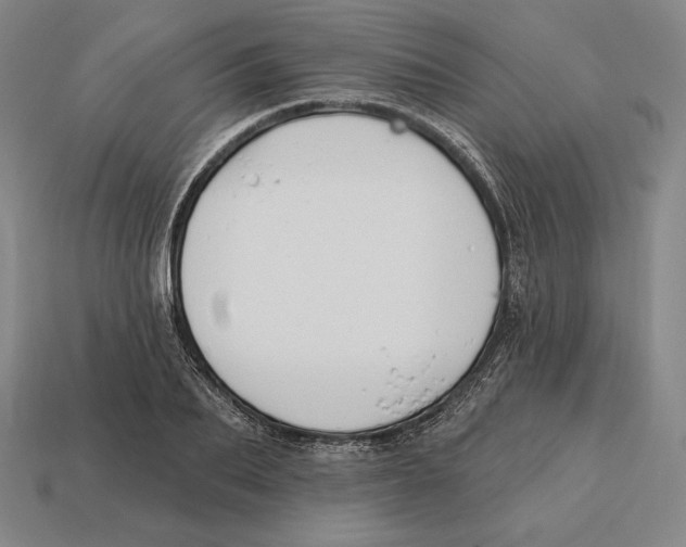 X0000113120887200909251110