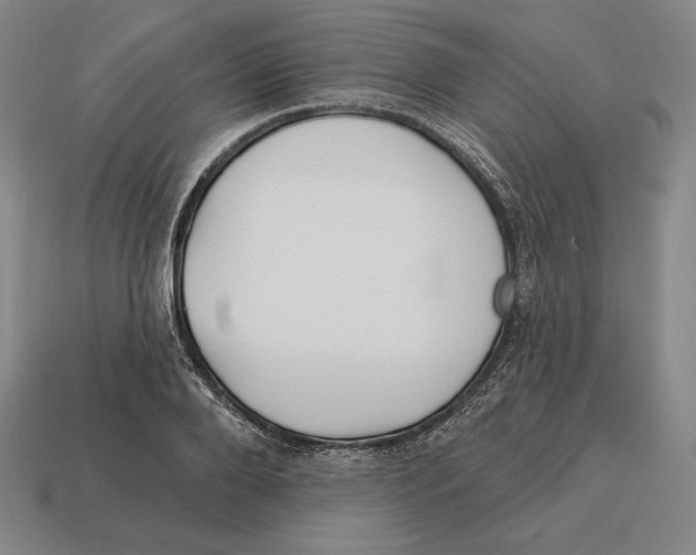 X0000113120888200909251110