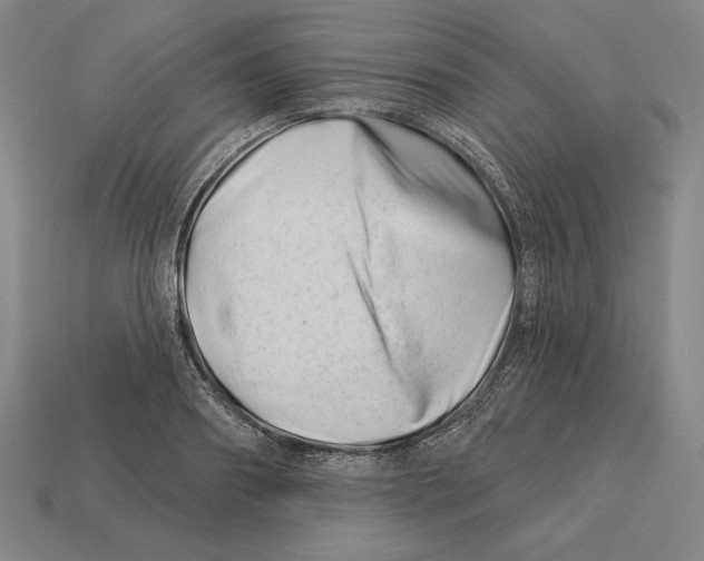 X0000113120890200909251110
