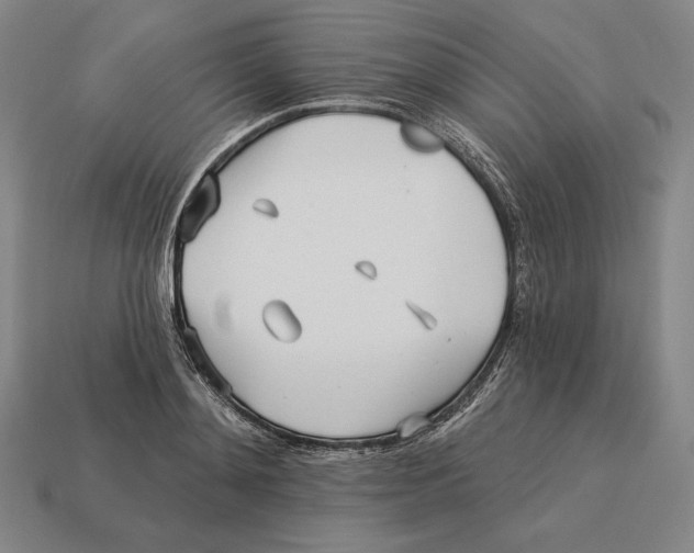 X0000113120892200909251110