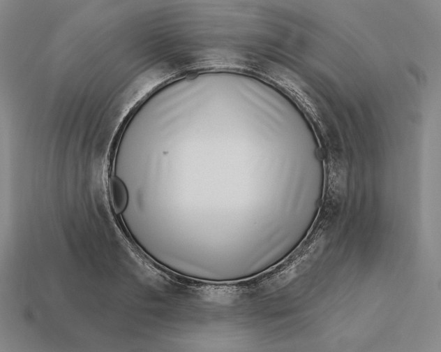 X0000113120893200909251110
