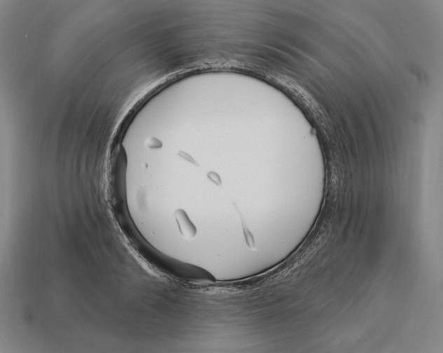 X0000113120894200909251110