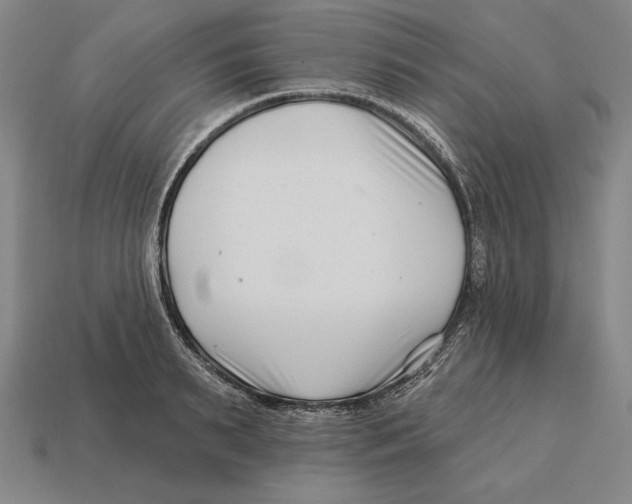 X0000113120895200909251110